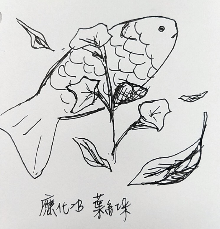 應化二B葉紅采